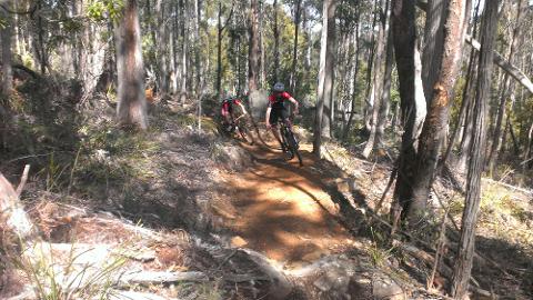Hollybank MTB Park